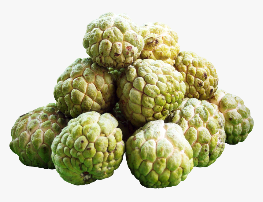 Custard Apple Png Transparent Image - Custard Apple Fruit Png, Png Download, Free Download