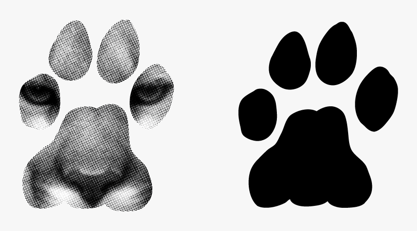 Mt Lion Track - Transparent Lion Paw, HD Png Download, Free Download