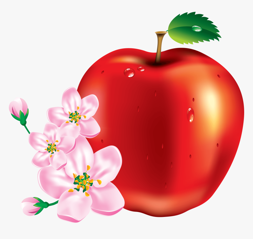 50 Red Apple Png Image Clipart Image - Apple Fruit Flower, Transparent Png, Free Download