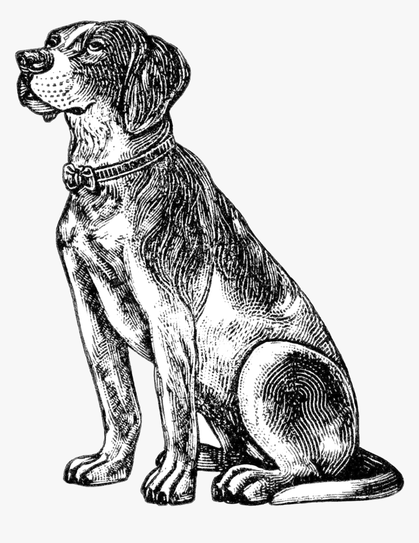 Dog Free Vintage Clip Art Old Design Shop Blog Transparent - Free Dog Clip Art Black And White, HD Png Download, Free Download