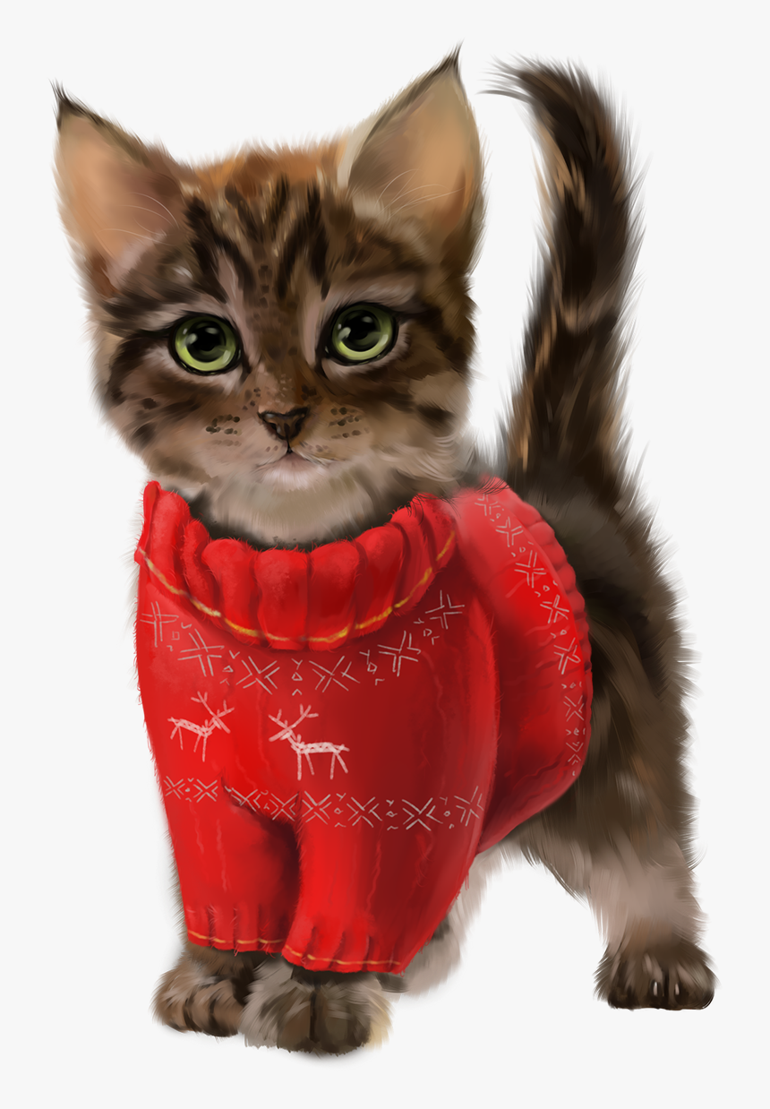 Cat, HD Png Download, Free Download