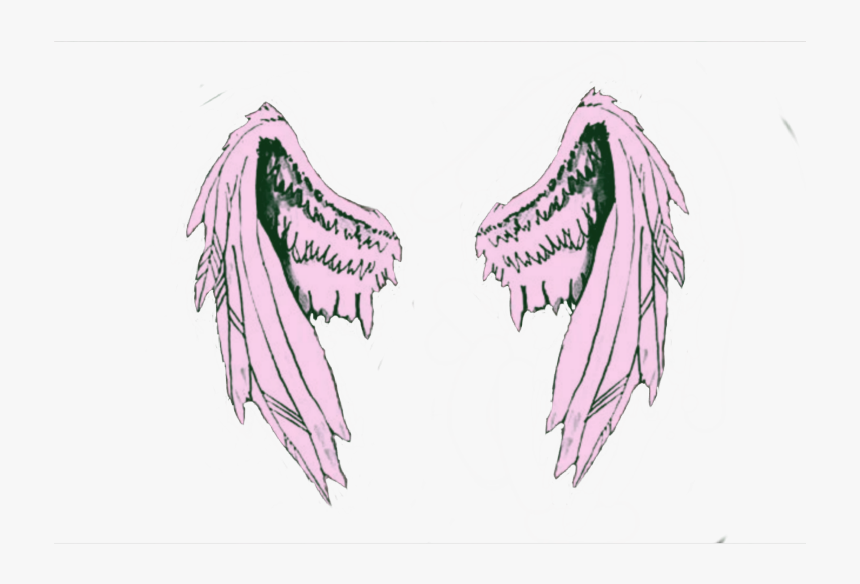 #wings #wing #aesthetic #tumblr #flight#flower#pink - Wings Aesthetic, HD Png Download, Free Download