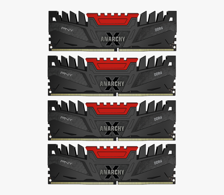 Label, HD Png Download, Free Download