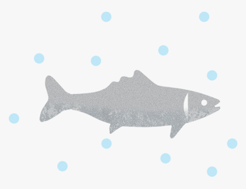 Help Reduce Microplastics - Sockeye Salmon, HD Png Download, Free Download