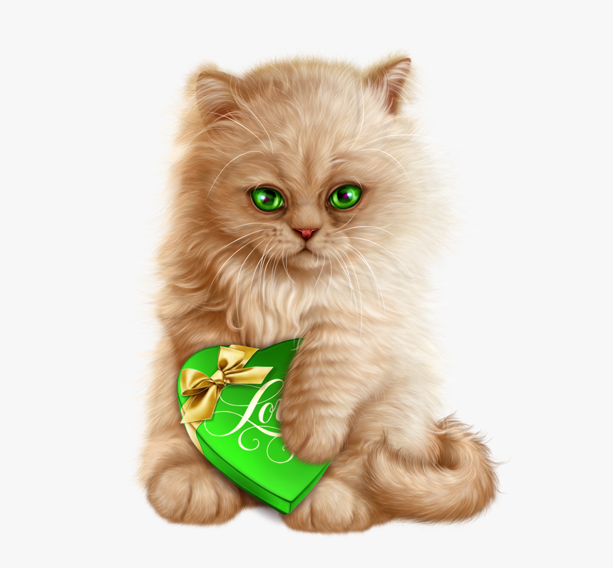 Cat, HD Png Download, Free Download