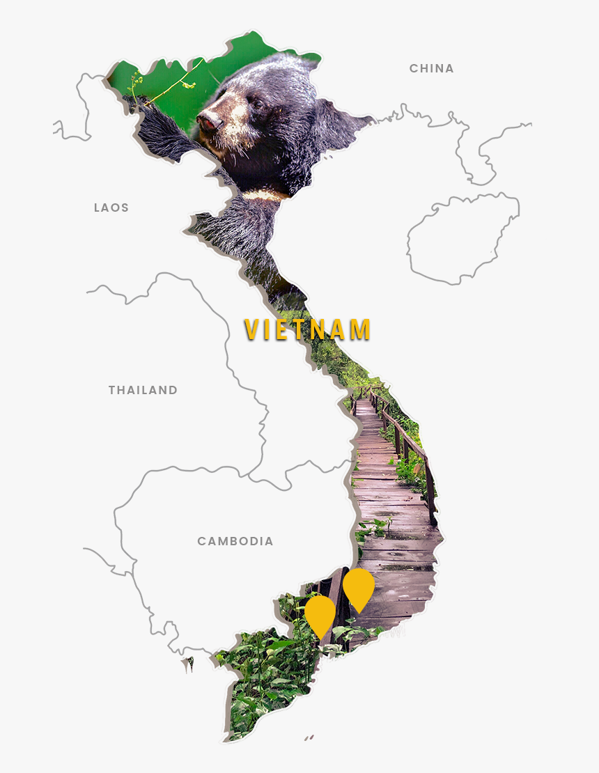 Simple Map Of Vietnam, HD Png Download, Free Download