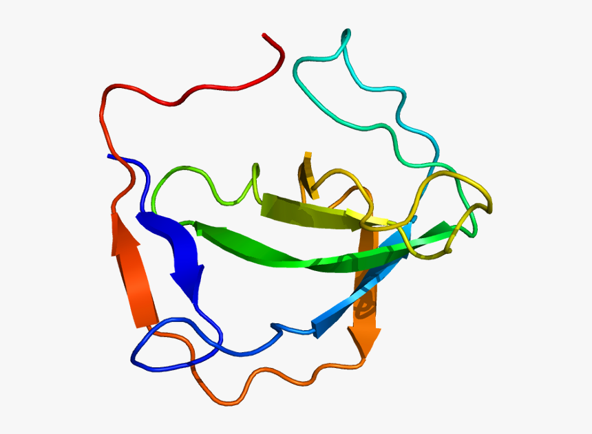 Protein Mia Pdb 1hjd - Mia Melanoma, HD Png Download, Free Download