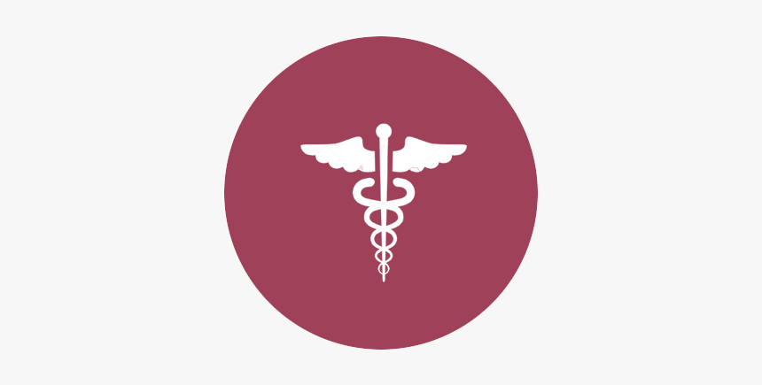 Caduceus Logo - Emblem, HD Png Download, Free Download