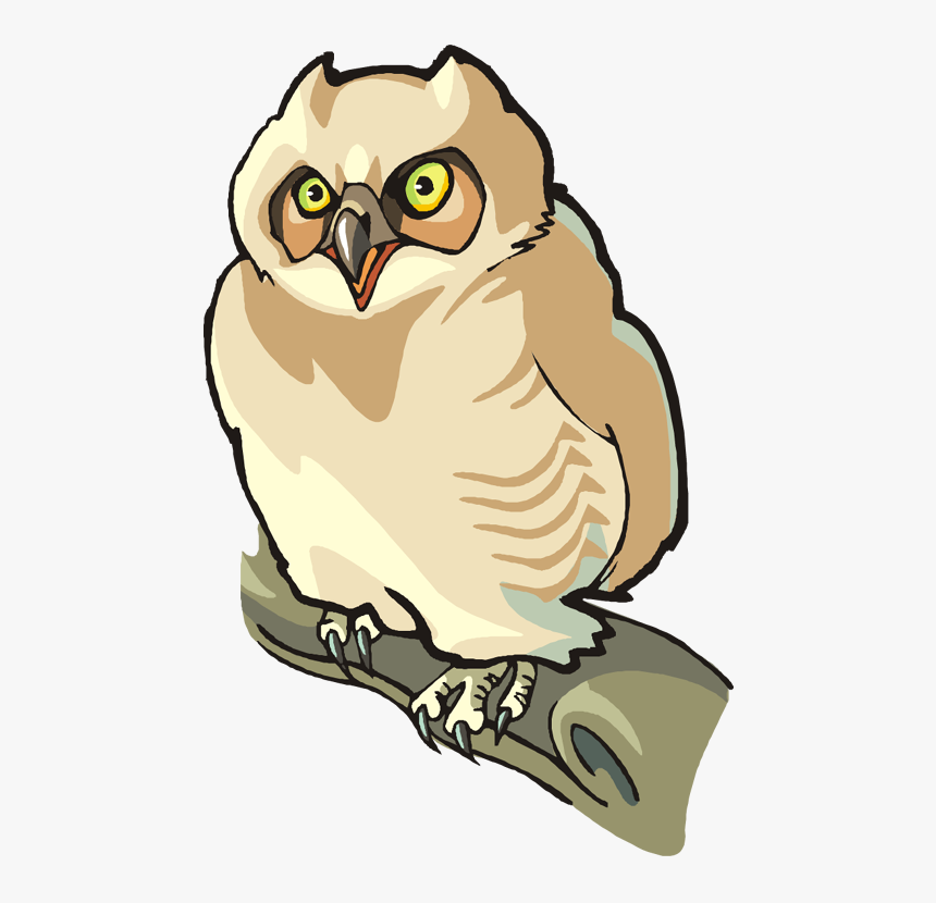 Snow Owl Png -free Owl Clipart - Clip Art Front Facing Owl, Transparent Png, Free Download