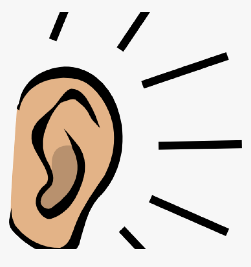 Ear Picture Stock Huge Freebie For Powerpoint Clipart - Transparent Background Ear Clipart, HD Png Download, Free Download