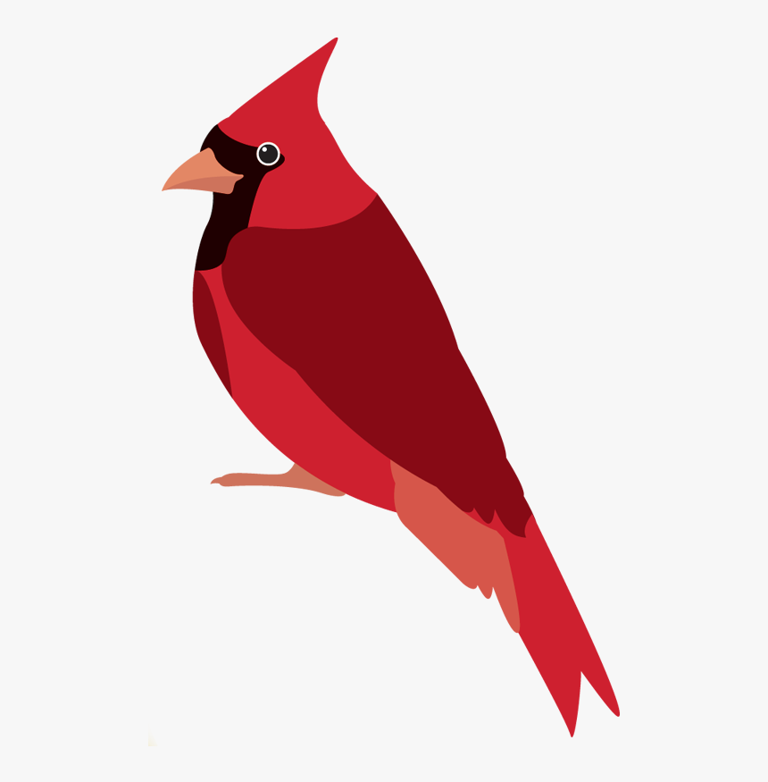 Img - Northern Cardinal, HD Png Download, Free Download