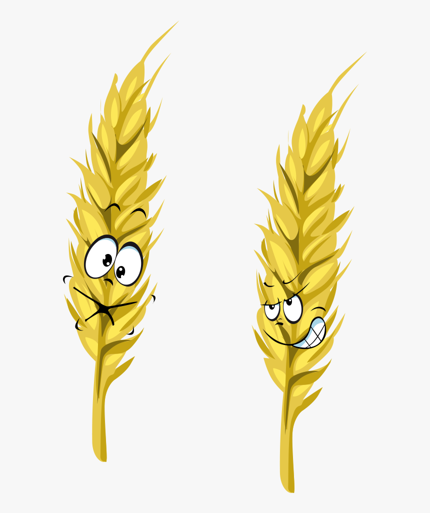 Ear Wheat Cartoon Png Download Free Clipart - Wheat Cartoon Png, Transparent Png, Free Download