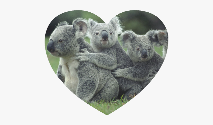 Koala Bear Heart-shaped Mousepad - Cute Groups Of Animals, HD Png Download, Free Download