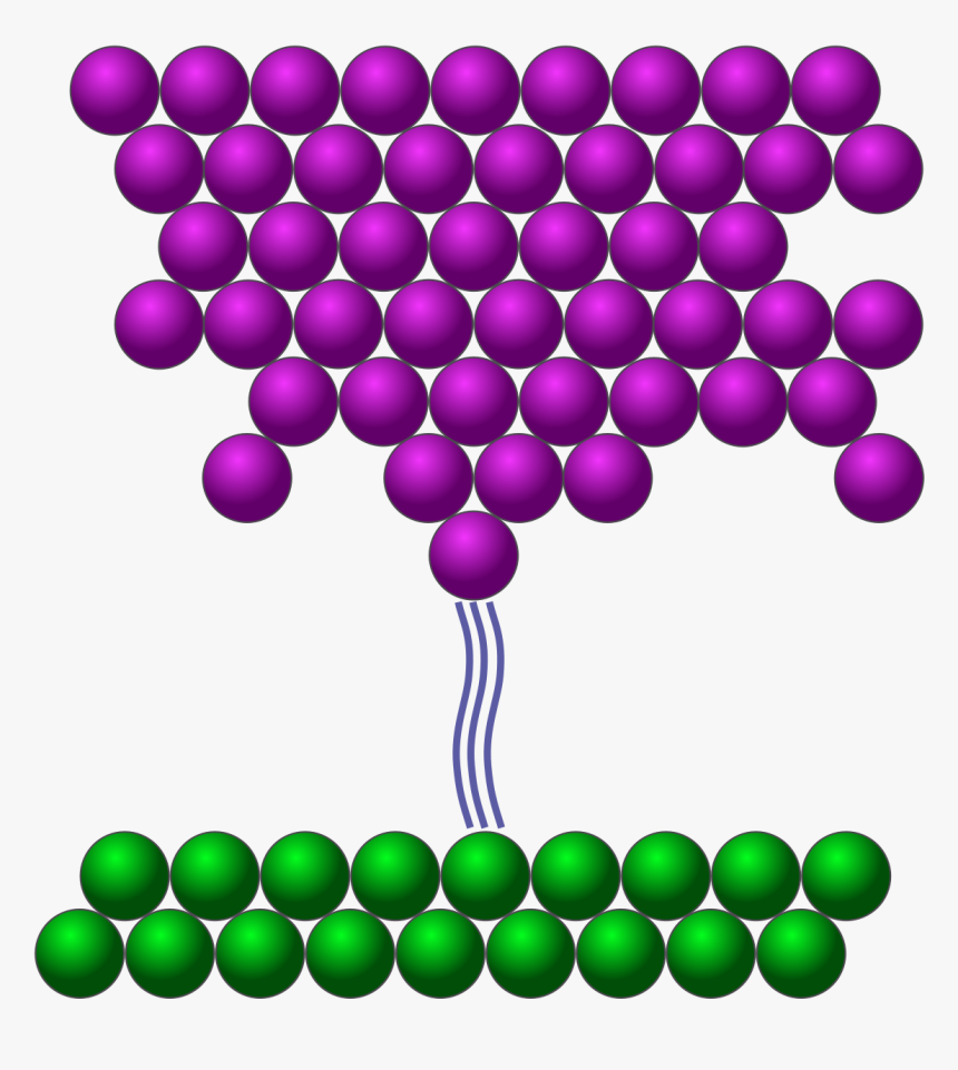 Scanning Tunneling Microscope Tip, HD Png Download, Free Download