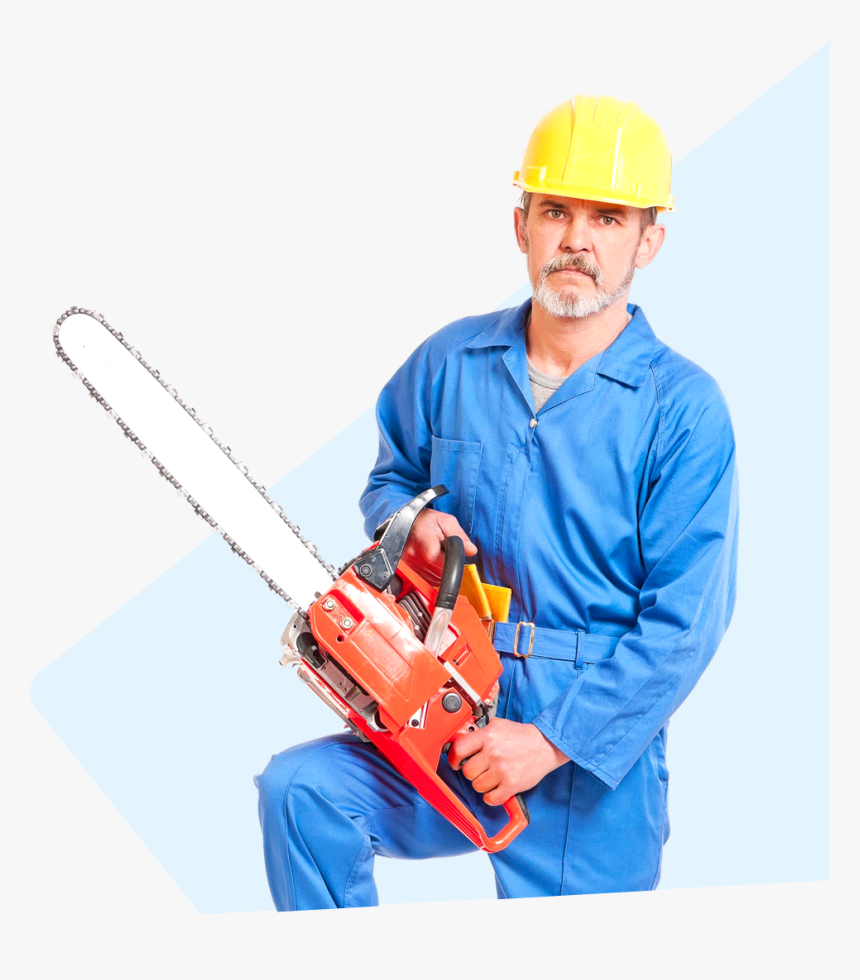 Find Us Now Stump Removal Specialists - Hard Hat, HD Png Download, Free Download