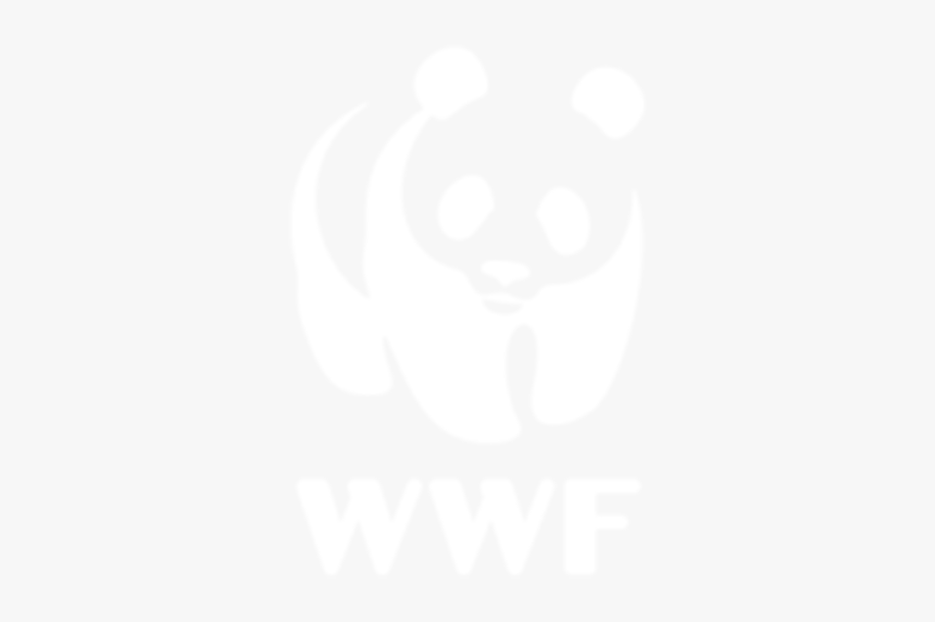Wwf - Johns Hopkins White Logo, HD Png Download, Free Download