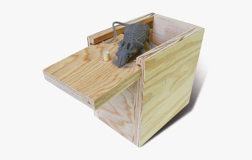 Mouse In A Box, HD Png Download, Free Download