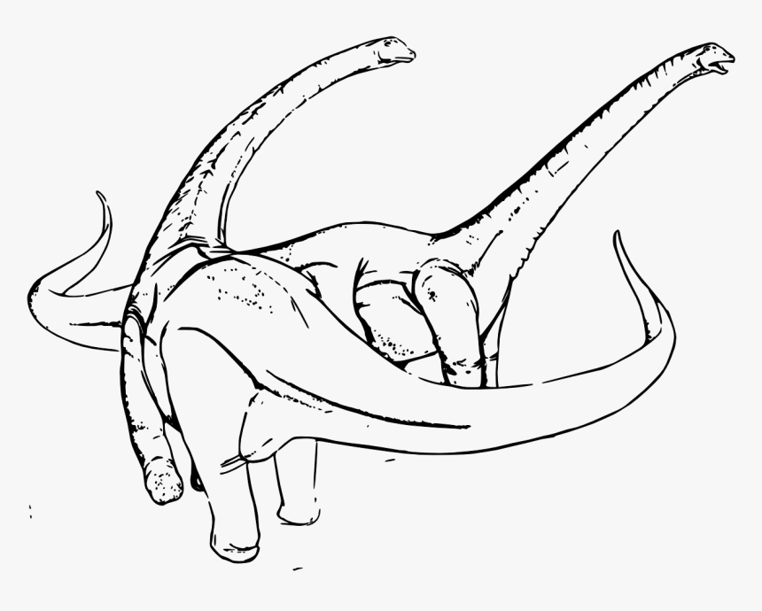 Dinosaur Egg Clipart - Diplodocus Coloring Page, HD Png Download, Free Download