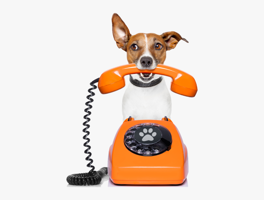 Paw-destrian Contact Us Dog Phone Shadow Image - Dog Telephone, HD Png Download, Free Download