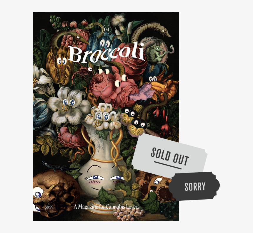 Broccoli Magazine, HD Png Download, Free Download