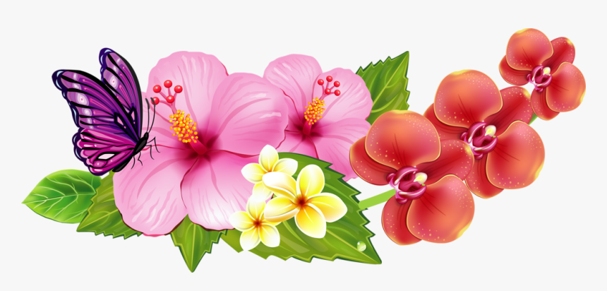 Transparent Hibiscus Clipart Png - Hawaiian Flowers Border Png, Png Download, Free Download