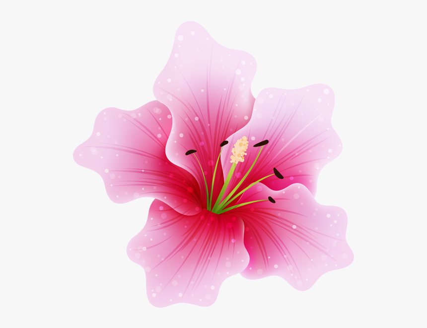 Beautiful Flower Png - Pink Flower, Transparent Png, Free Download