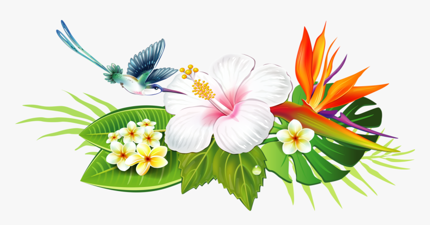Hibiscus Clipart Lei Flower - Dibujos Para Pared De Colibri, HD Png Download, Free Download
