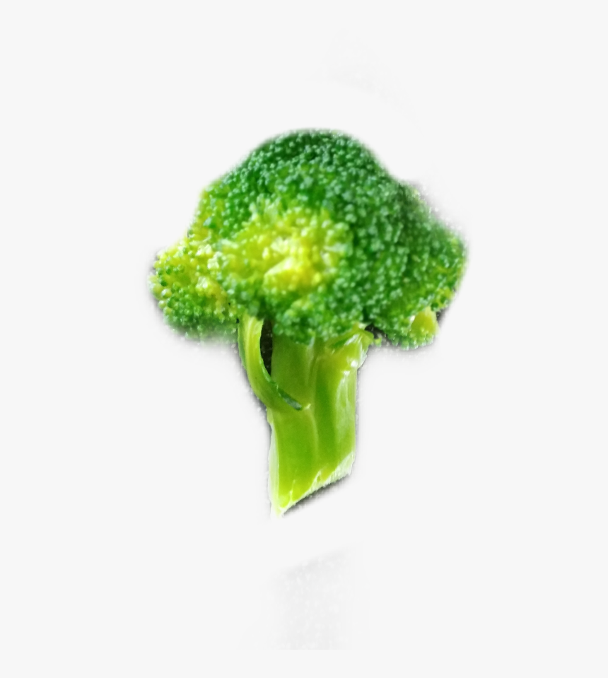 Brocoli Freetoedit - Broccoli, HD Png Download, Free Download