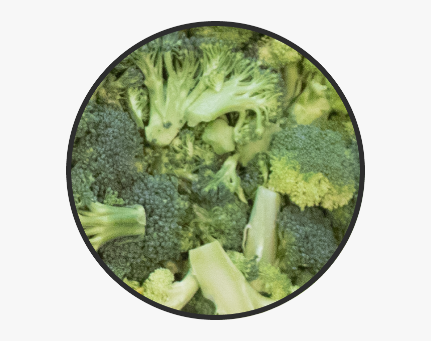 Broccoli, HD Png Download, Free Download