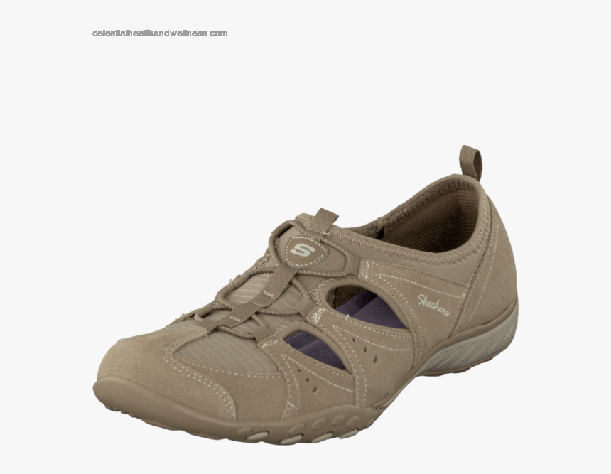 Transparent Skechers Png - Skechers Hiking Shoes Women, Png Download, Free Download