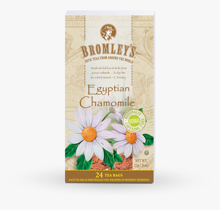 Egyptian Chamomile Tea - Bromley's Jasmine Green Tea, HD Png Download, Free Download