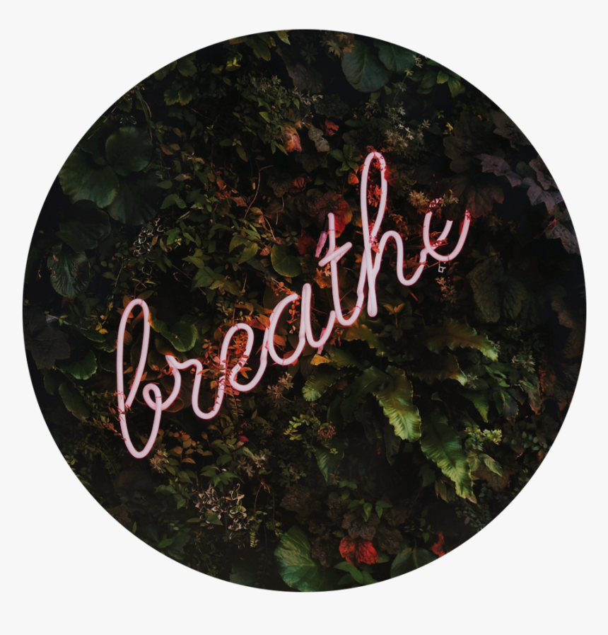 Breathe, HD Png Download, Free Download