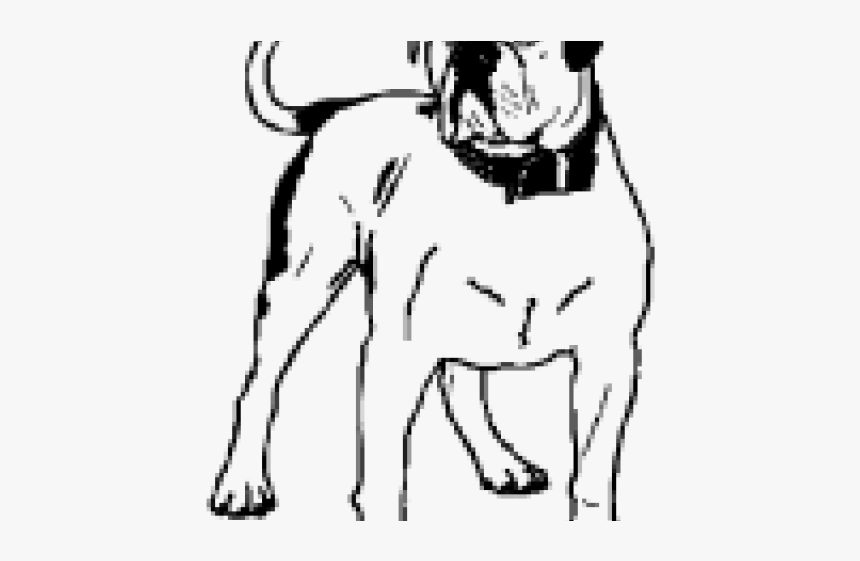 American Bulldog Cliparts - Pit Bull, HD Png Download, Free Download
