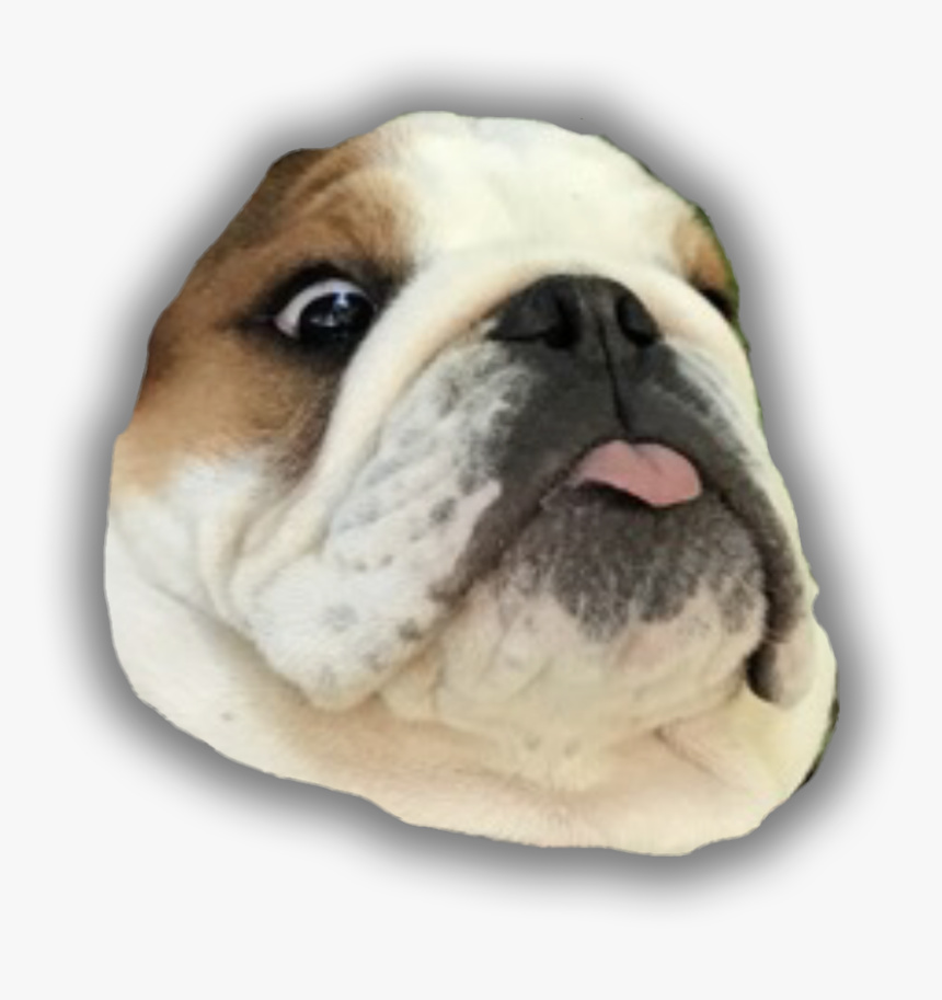 Smiley Face - Australian Bulldog, HD Png Download, Free Download