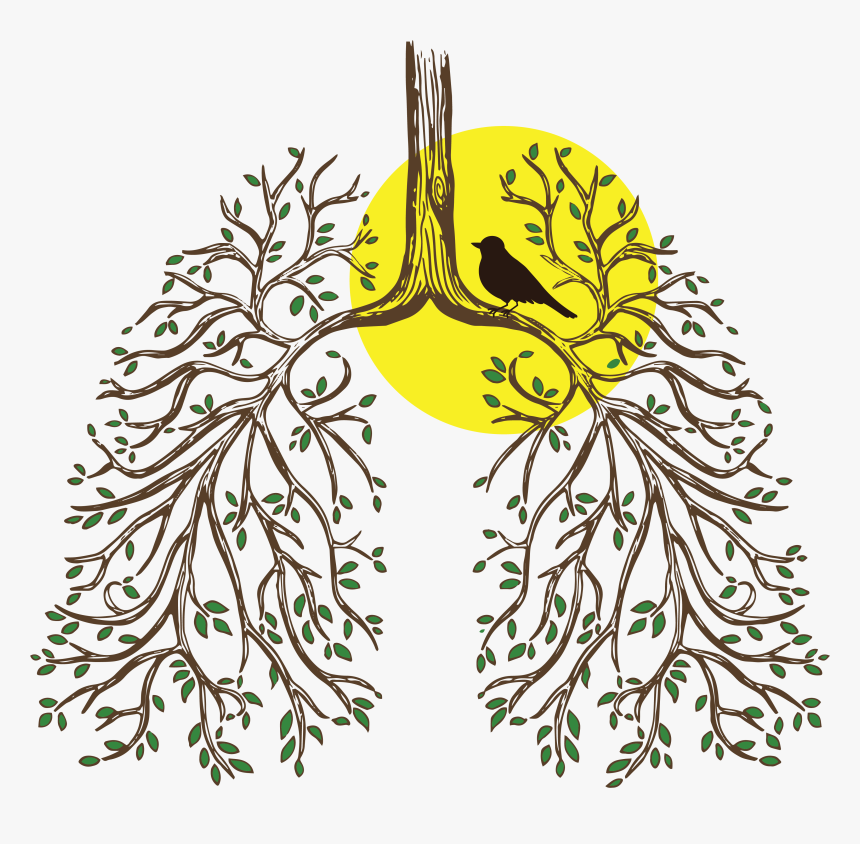 Breathe Png, Transparent Png, Free Download