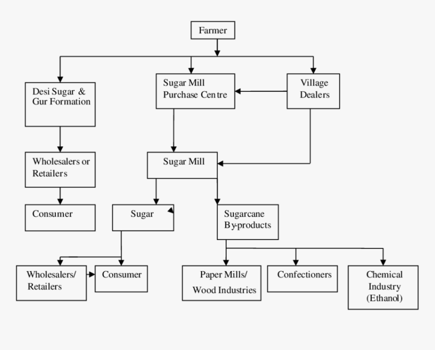 Transparent Sugarcane Png - Marketing Channels Of Sugarcane, Png Download, Free Download