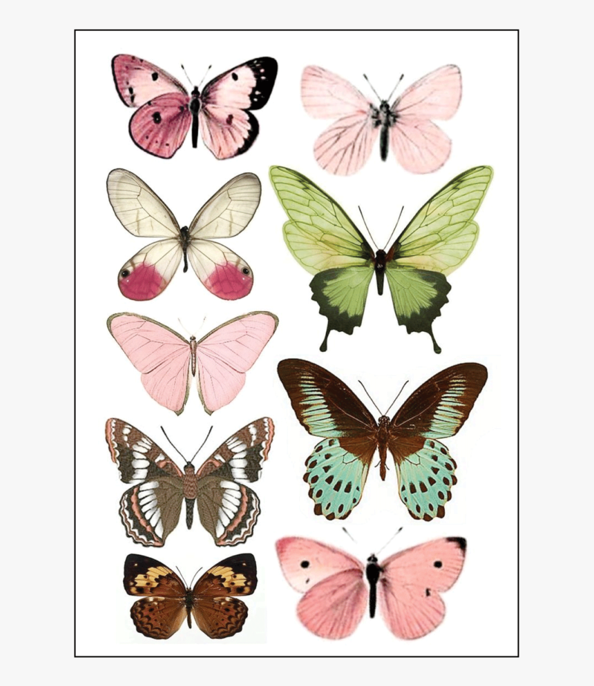 Vintagebutterflys, HD Png Download, Free Download