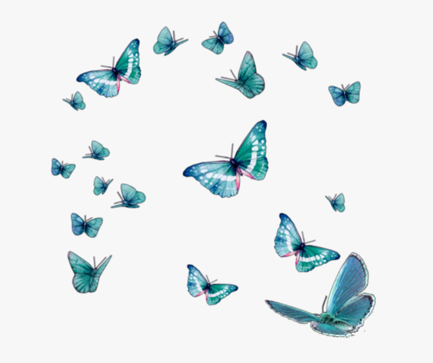 #butterfly #butterflies #bug #butterflys #background - Butterfly Effect Png, Transparent Png, Free Download