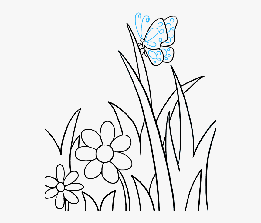 Transparent Butterflys Png - Flower And Butterfly Drawing, Png Download, Free Download