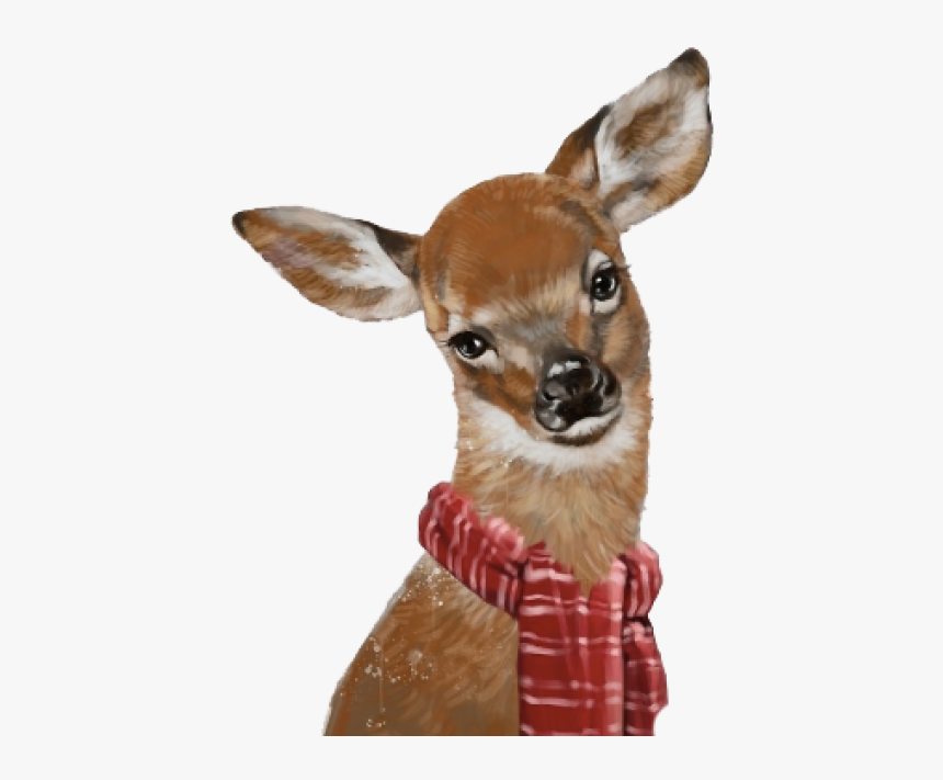 Roe Deer, HD Png Download, Free Download