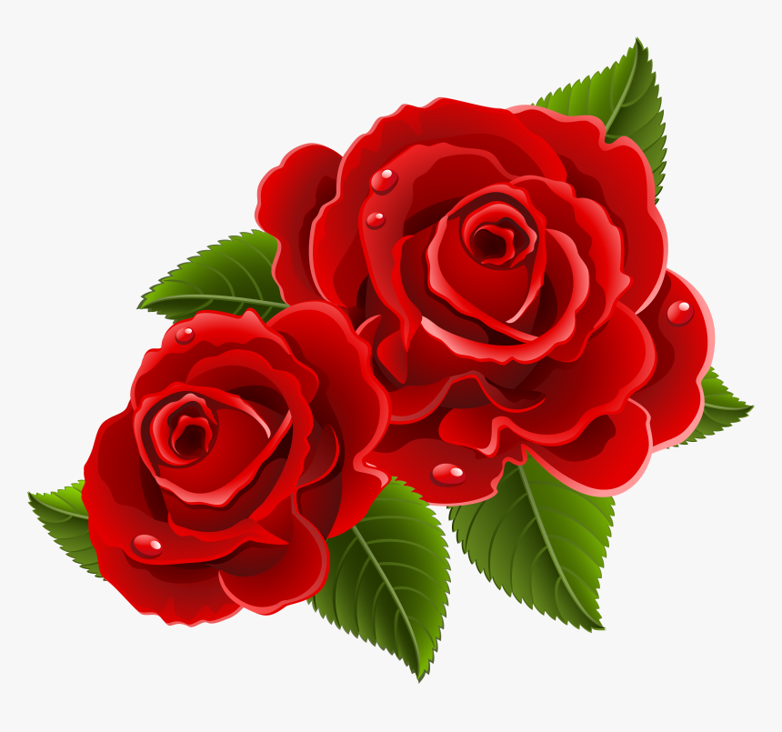 Beautiful Clipart Red Rose, HD Png Download, Free Download