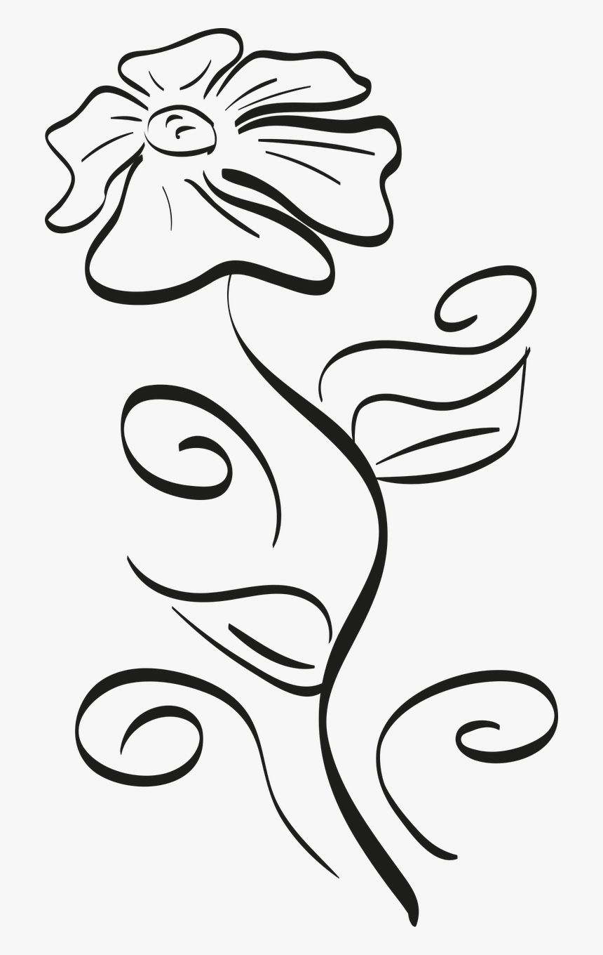 Coloring Book, HD Png Download, Free Download