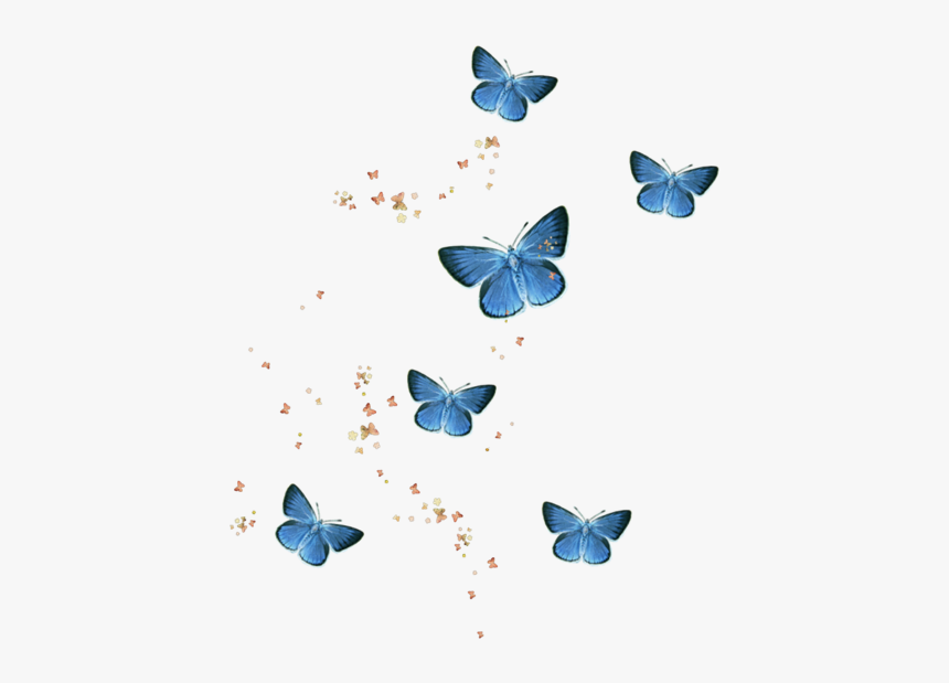 #butterfly #butterflys #butterflies #insect #insects - Blue Butterfly Transparent Background, HD Png Download, Free Download
