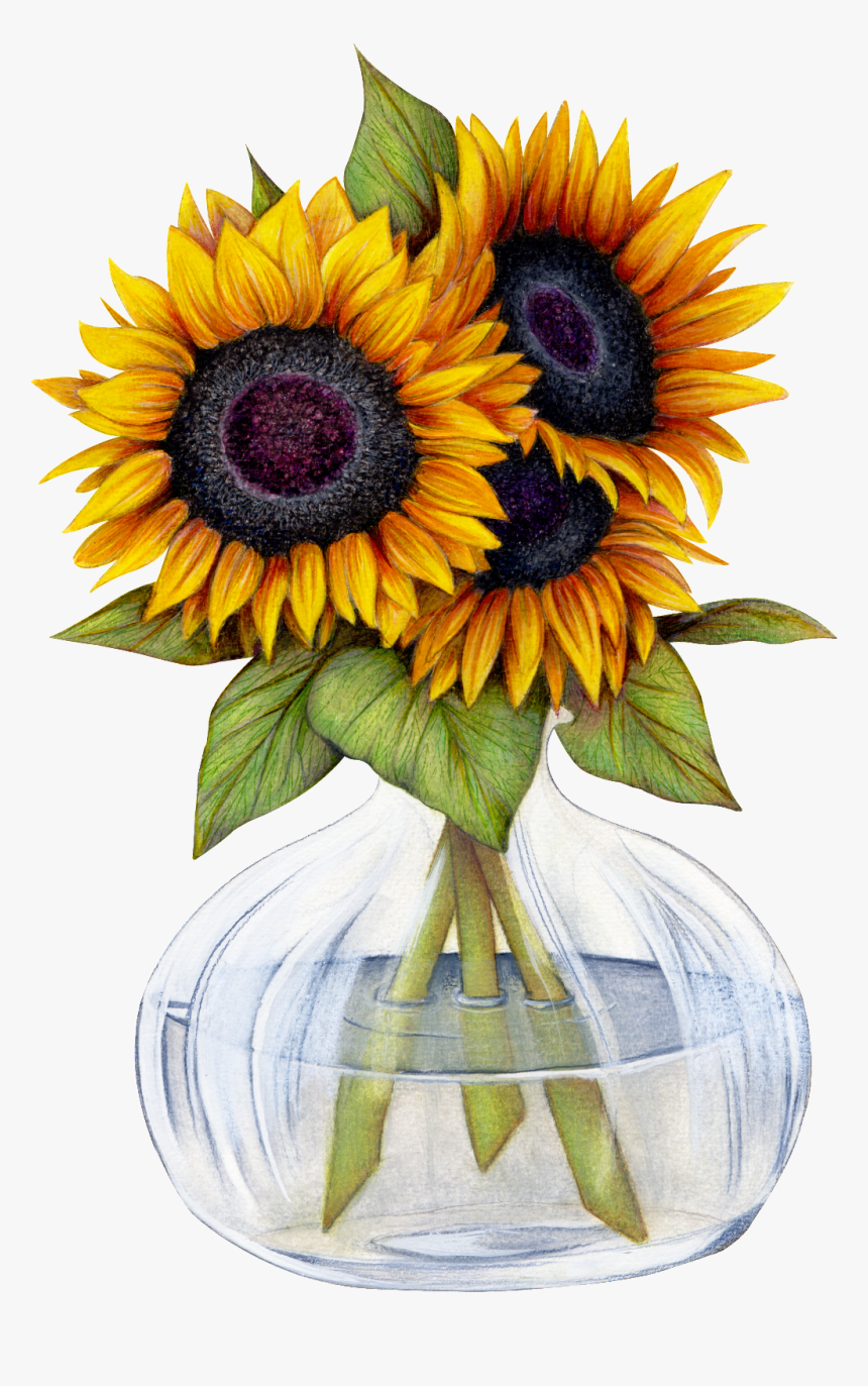 Beautiful Sunflower Flower Png Transparent, Png Download, Free Download