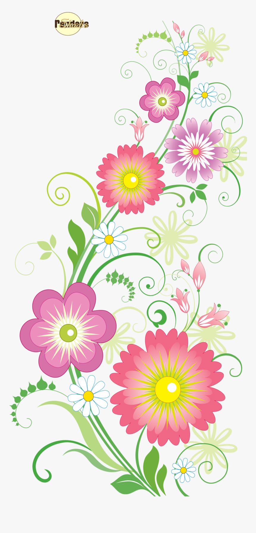 Render Nature Renders Bouquet Pinterest Autresinconnu - African Daisy, HD Png Download, Free Download