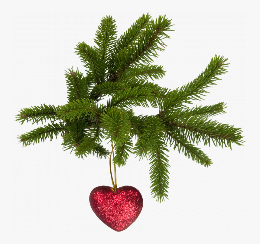 Download And Use Christmas Icon Png - Christmas Tree Png Transparent, Png Download, Free Download