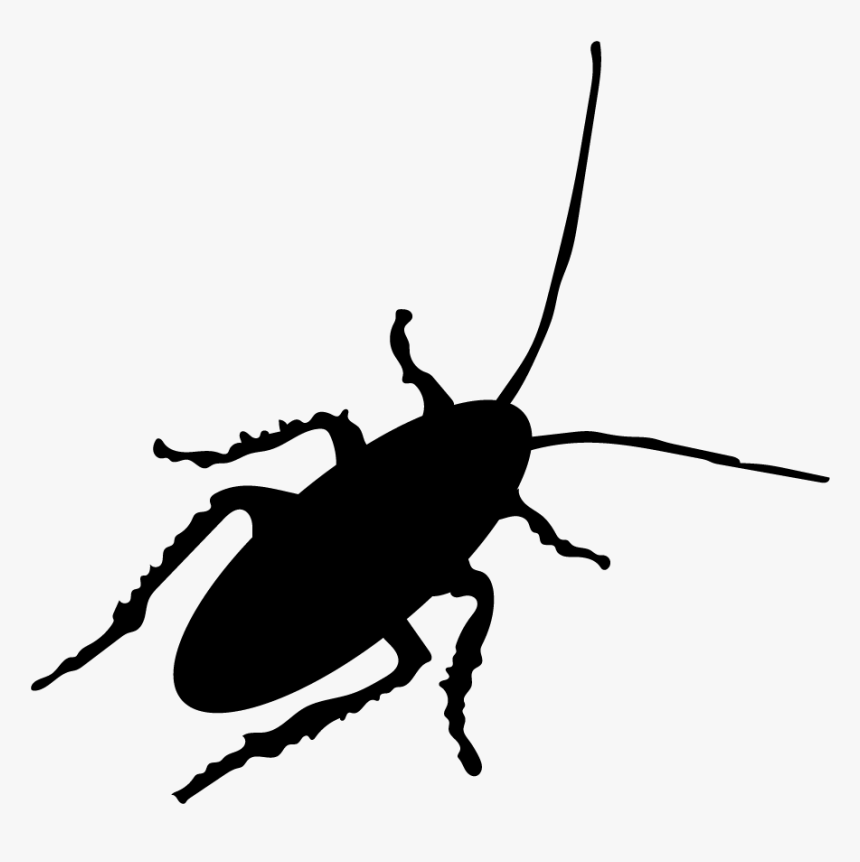Thumb Image - Cockroach Vector Png, Transparent Png, Free Download