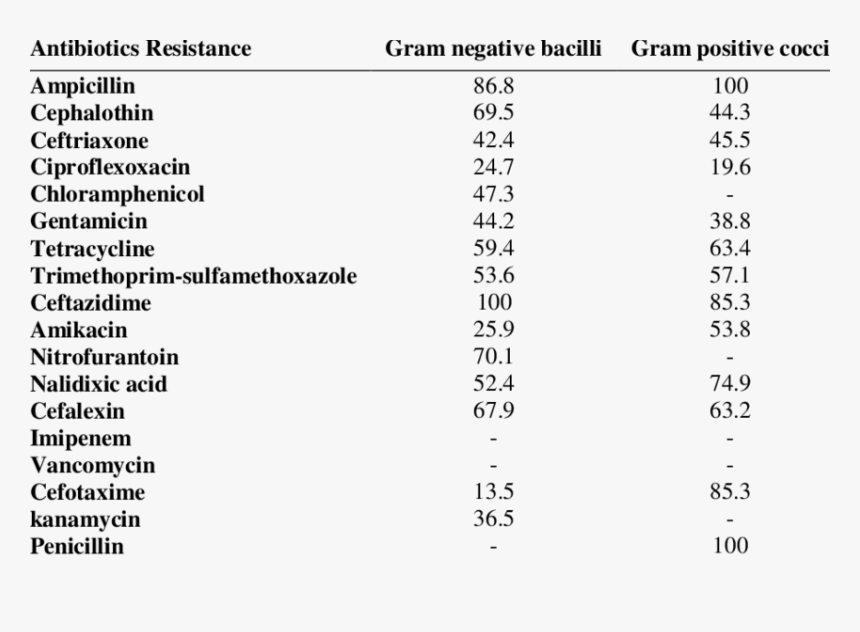 Klebsiella Pneumoniae Atcc 700603 Colistin, HD Png Download, Free Download