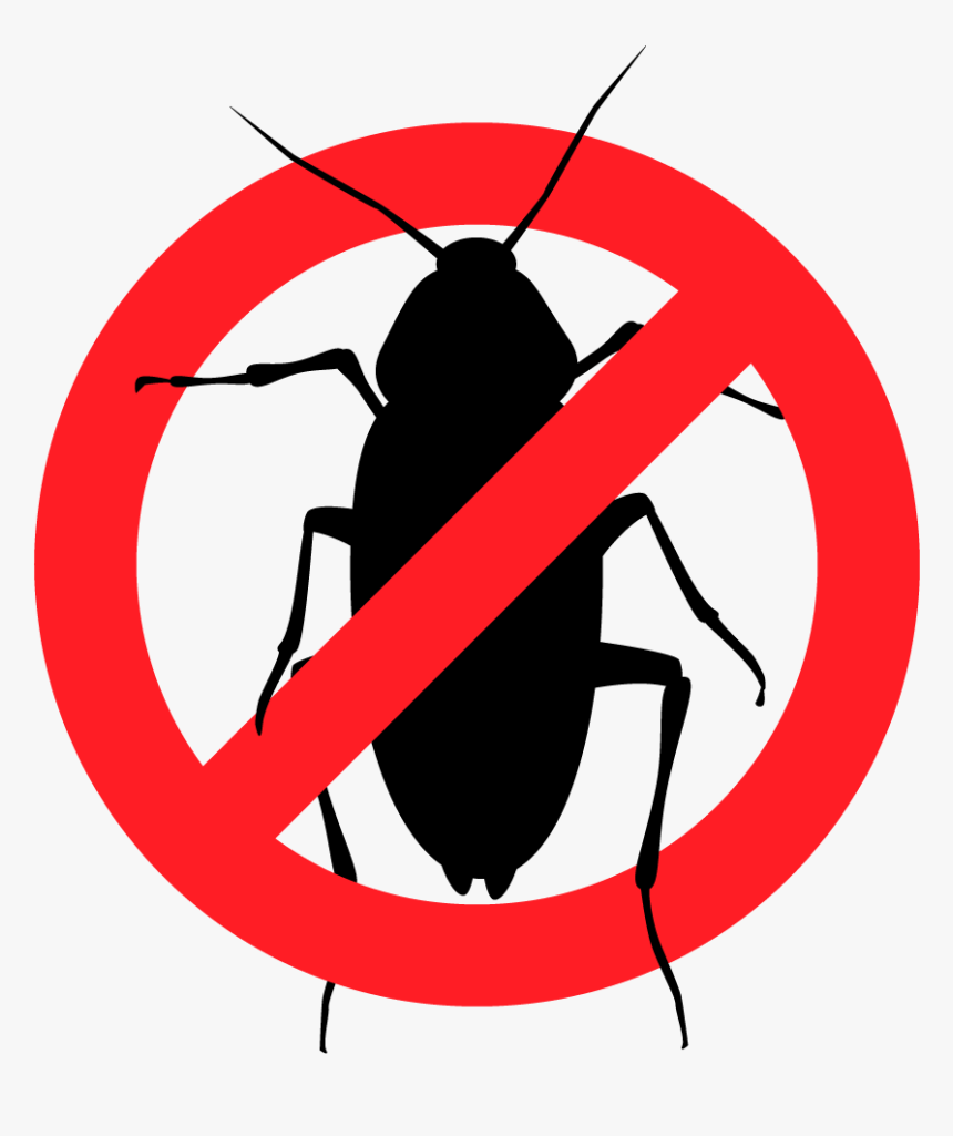 No Cockroaches Allowed - Rats Cockroaches Flies, HD Png Download, Free Download