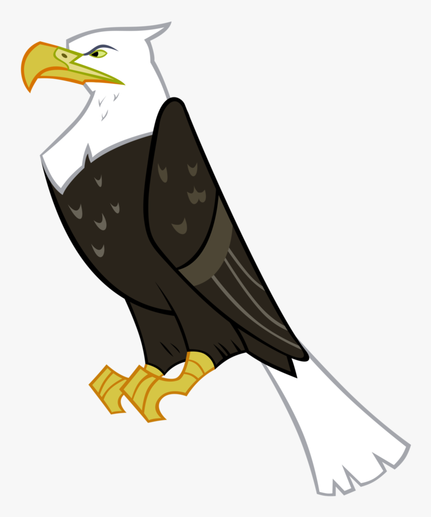 Go To Image Cartoon Eagle No Background- - My Little Pony Eagle, HD Png Download, Free Download